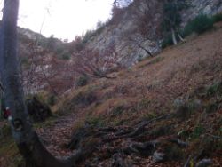 2013-10-26_Schildenstein (149).JPG